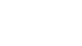 GN Logo White 140X80