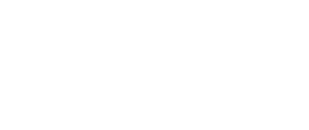GN Logo White