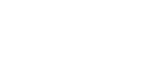 Amplifon Logo White